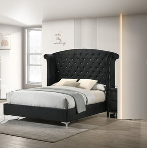 English Elm 1pc Glam Upholstered Queen Bed with Velvet Wingback Headboard, Diamond Tufting & Nailhead Trim Black 96.06 L x 43.9 W x 2.76 H B011S01662