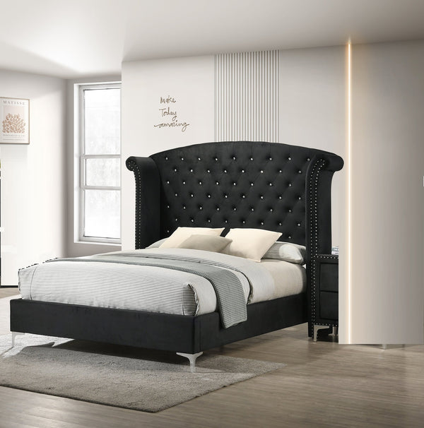 English Elm 1pc Glam Upholstered Queen Bed with Velvet Wingback Headboard, Diamond Tufting & Nailhead Trim Black 96.06 L x 43.9 W x 2.76 H B011S01662
