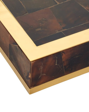 Currey & Company Casey Mother Of Pearl Tray Set - Elegant Decorative Trays With Gold Accents For Timeless Sophistication Brown Pen Shell ,Stainless Steel ,Wood 1200-1022-currey-company