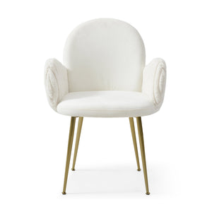 English Elm Modern Velvet Dining Chairs Set of 2 — Mid-Century Upholstered Accent Armchairs with Gold Legs, Durable Elegance W1117P220467