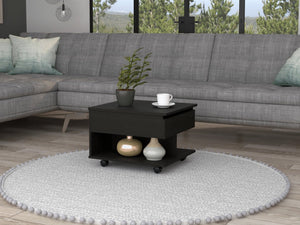 English Elm Babel Lift Top Coffee Table with Hidden Storage Casters and Open Shelf for Living Room B097P407605