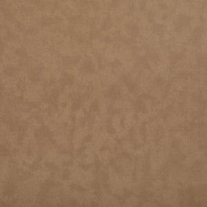 Meridian Furniture Santos Vegan Leather Counter Stool with Cerused Wood Frame for Kitchen Islands 77096Brown-C
