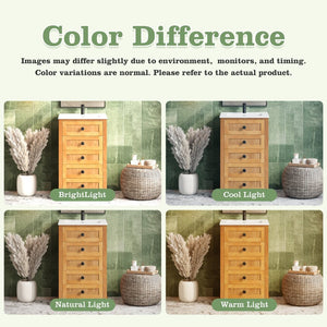 English Elm 20" Pine Wood Grain Bathroom Vanity with Ceramic Sink and Soft Close Cabinet Door N710P299454P
