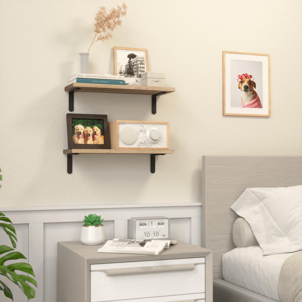 English Elm Rustic Paulownia Wood Shelves Set of 2 — Farmhouse Floating Wall Shelves 16.5" Durable 40lb Capacity W2181P194278