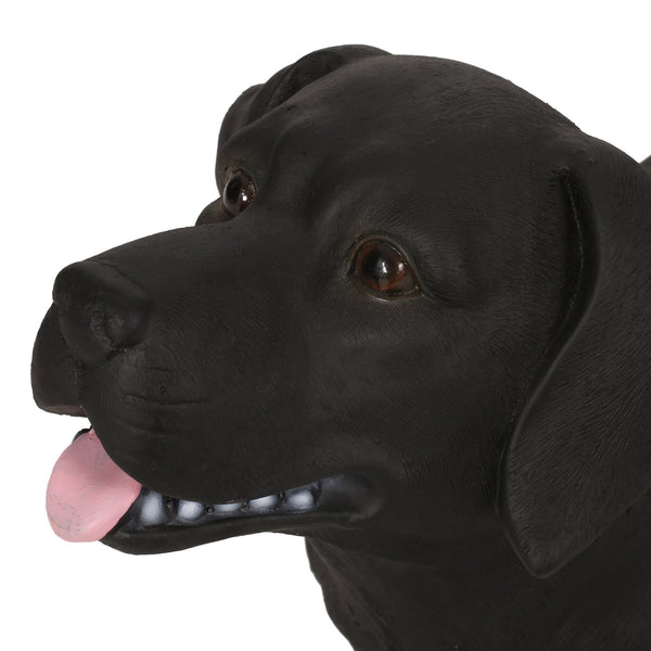 English Elm Christopher Knight Home® - MGO Labrador Dog Bench Lightweight Concrete Outdoor Seat in Matte Black — No Assembly, Durable Decor 72984.00