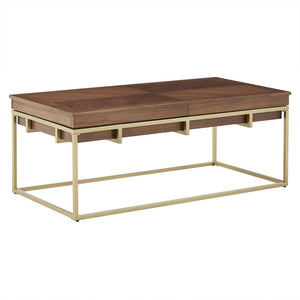 Walnut Veneer Rectangular Storage Coffee Table with Iron Base