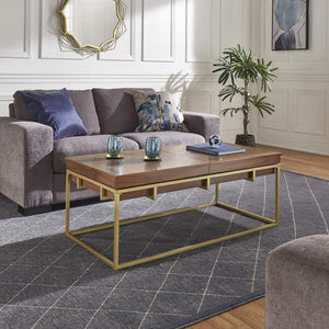 Walnut Veneer Rectangular Storage Coffee Table with Iron Base
