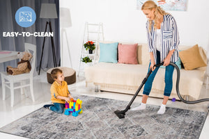 English Elm Payas Traditional 8X10 Area Rug In Cream & Anthracite – Durable, Soft, Kid & Pet-Friendly Design! B189P183617-GIGA