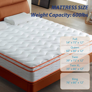 English Elm Alwyn Home 12 Inch Queen Hybrid Mattress Gel Foam Pocket Coil Certipur Certified W3203P348785