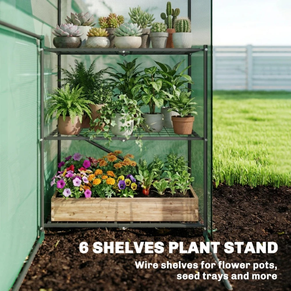 English Elm Roll-up Door Walk-in Portable Greenhouse Six Shelf Pe Cover Foldable Steel Frame T3971P476672
