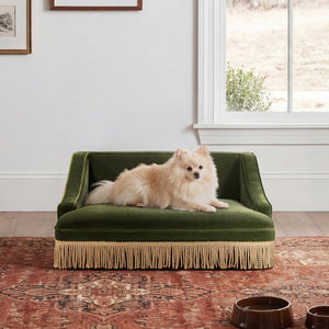 English Elm Duchess Regency Tufted Pet Sofa with Fringe Skirt Velvet Upholstery for Small Dogs Olive Green B2719P479031