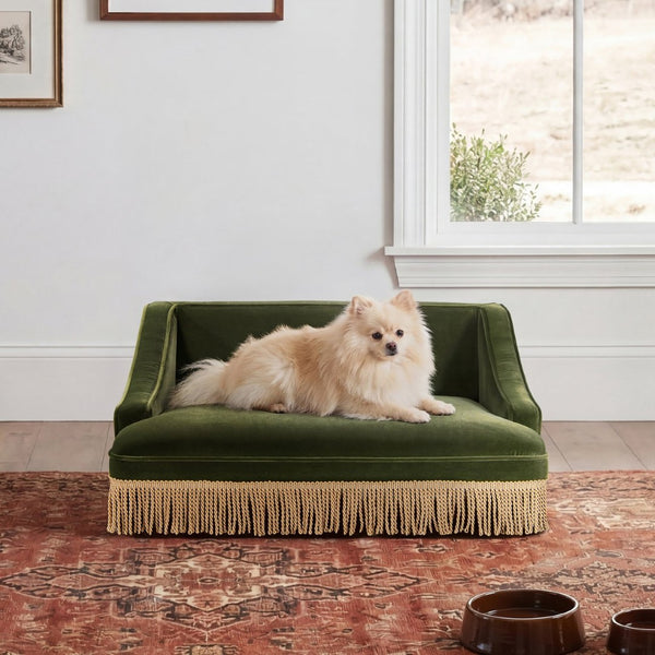 English Elm Duchess Regency Tufted Pet Sofa with Fringe Skirt Velvet Upholstery for Small Dogs Olive Green B2719P479031