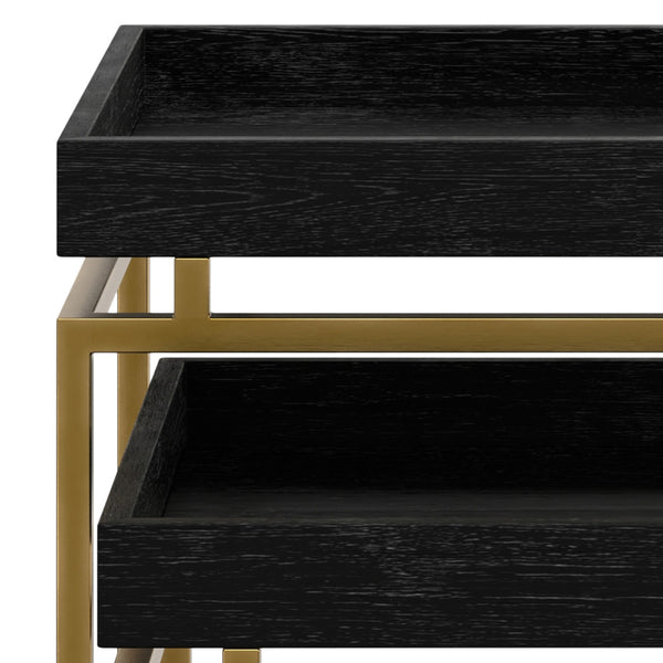 English Elm Macy Black & Gold 2-Pc Nesting Tables — Solid Mango Wood Tops, Metal Frame, Modern End Tables B136P203440