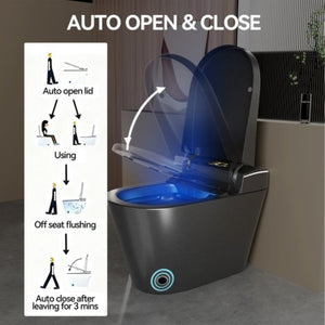 English Elm Unique Intelligent One-piece Toilet with Integrated Bidet Heated Seat and Auto Lid Grey W3133P414566