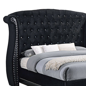 English Elm Tamsin Opulent Black Queen Bed with Luxe Button-Tufted Arched Headboard and Silver Nailhead Trim B062S00823