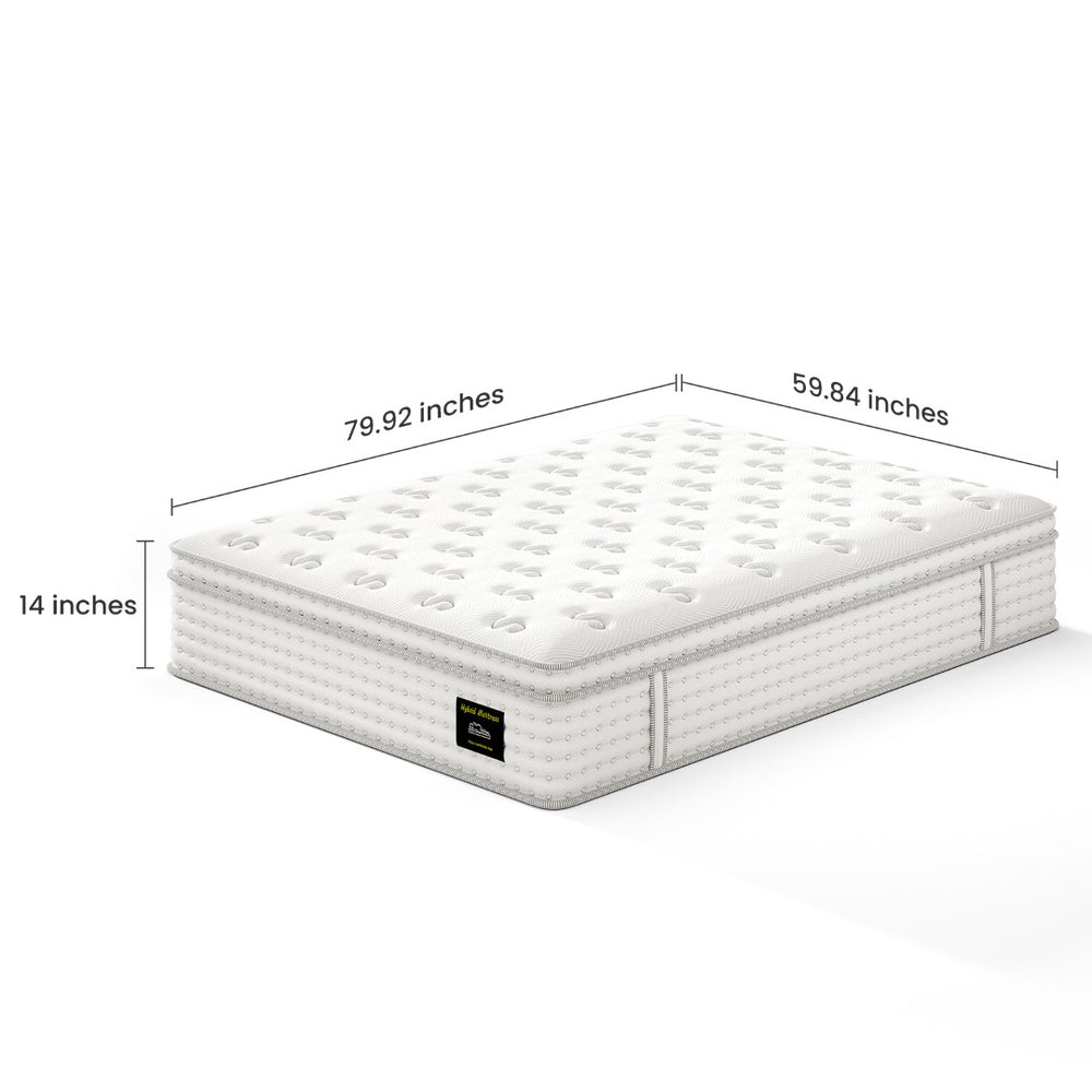 English Elm 14'' Queen Hybrid Mattress Pocket Coils Memory Foam Zoned Spinal Support Fiberglass Free B2716P383537