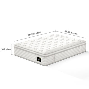 English Elm 14'' Queen Hybrid Mattress Pocket Coils Memory Foam Zoned Spinal Support Fiberglass Free B2716P383537