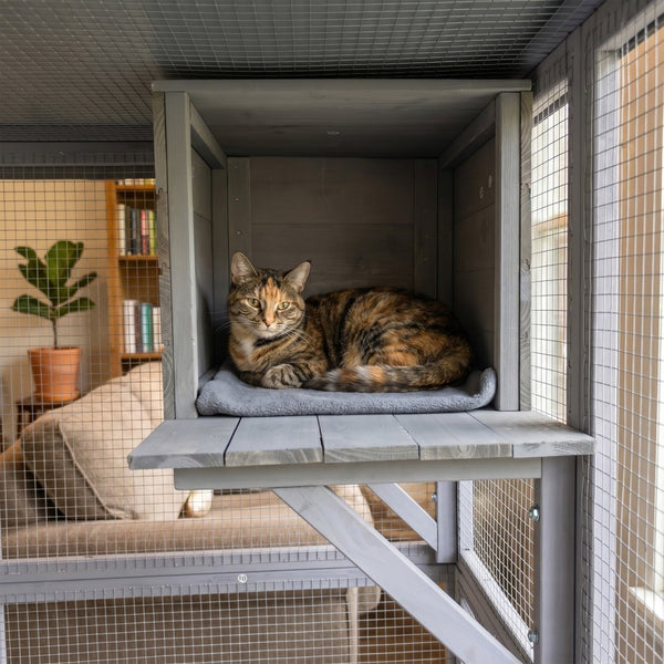 English Elm Outdoor Solid Fir Wood Cat Enclosure with 4 Tiered Platforms and Dual Napping Houses W3166P476669