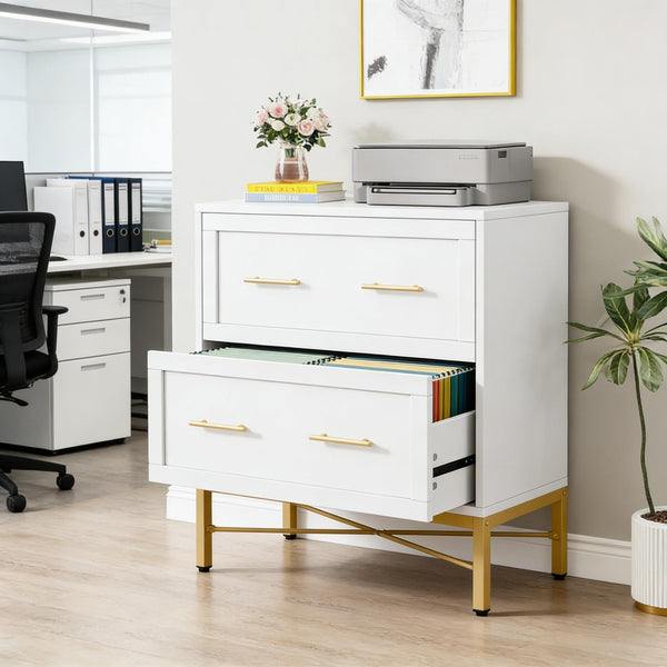 English Elm Multi-functional Nordic Filing Cabinet White Two Drawer Gold Handle Home Office Storage Gold,White T3971P449222