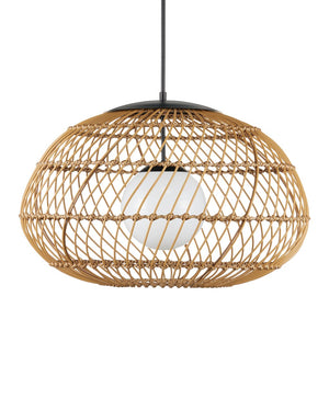 Currey & Company Carriage Outdoor Pendant Light - Durable Wicker Shade, Adjustable Height, Stylish & Weather-resistant Design Natural All,Weather Wicker ,Metal ,Glass 9500-0015-currey-company