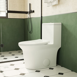 English Elm 1.1/1.6 Gpf Ceramic One Piece Toilet Skirted Comfort Height Dual Flush Soft Close B2724P246931
