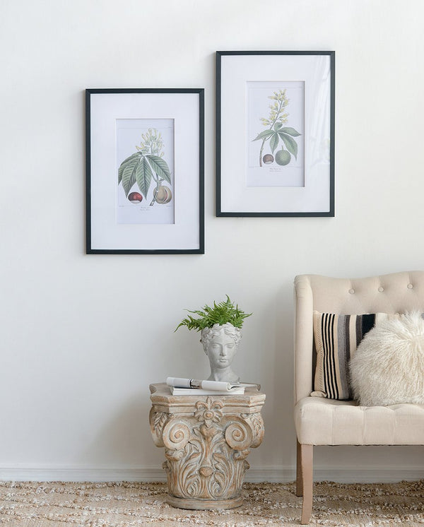 English Elm 19.7x27.6" Botanical Wall Arts Set of 2 - Vibrant Framed Floral & Fruit Prints for Living Room Decor, Hallway Elegance W2078P390181