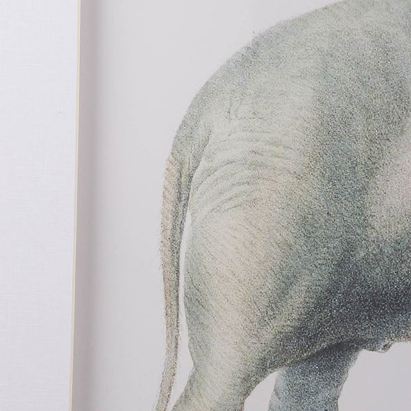 English Elm 23.6x31.5" Elegant Elephant Pencil Art Set of 2 with Metallic Frames — Detailed, Ready-to-Hang Décor W2078P390182
