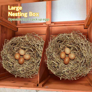 English Elm Large Wooden Backyard Chicken Coop with Dual Nesting Boxes and Leakproof Pullout Tray W3166P331246