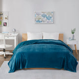 Microlight Plush Casual Oversized Blanket