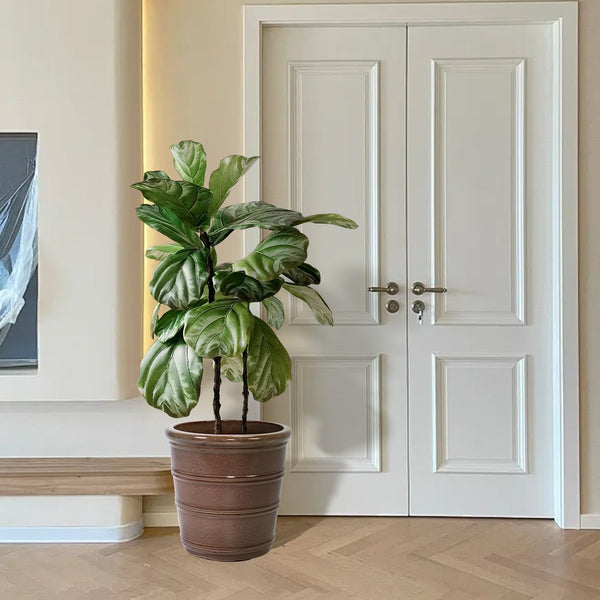 English Elm 3 Pieces Ceramic Flowerpot Set - Handcrafted Antique Yellow Planters For Garden, Patio & Indoors W3273P321529