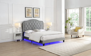 English Elm Upholstered Diamond Button Tufted Platform Bed with Velvet, LED Ambient Lighting, Sturdy Slats Light Gray 65.75 L x 34.43 W x 4.72 H W2297P268386
