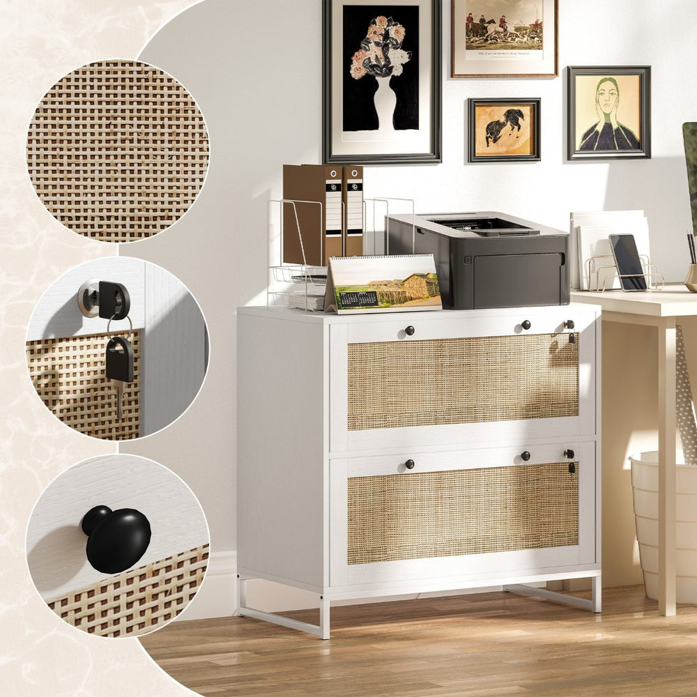 English Elm 2 Drawer Rattan Panel Filing Cabinet Lockable Home Office Organizer with Hanging Bar T3971P411967