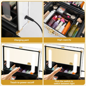 English Elm Portable Led Vanity Makeup Case Aluminum Travel Organizer with Mirror Lock Dividers W1550P163303