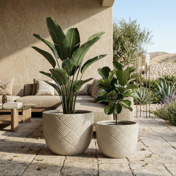 English Elm Round Handcrafted Concrete Planter Set Textured Matte Finish Patio Entryway Garden W347P449331