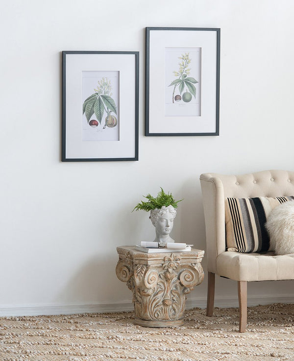 English Elm 19.7x27.6" Botanical Wall Arts Set of 2 - Vibrant Framed Floral & Fruit Prints for Living Room Decor, Hallway Elegance W2078P390181