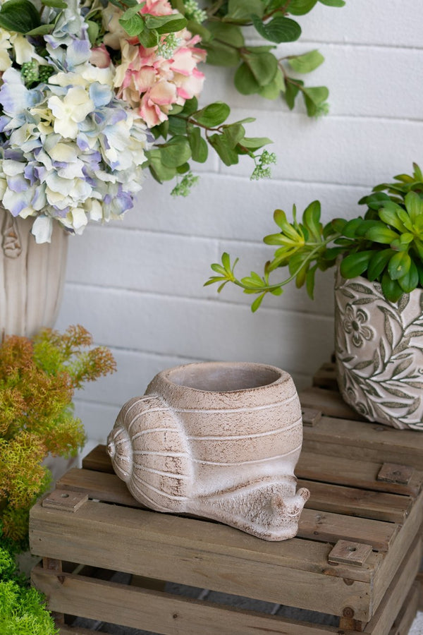 English Elm 8.3x7x4.7" Textured Sand & Cement Snail Planter — Abstract Spiral Shell Accent for Succulents, Herbs W2078P334753