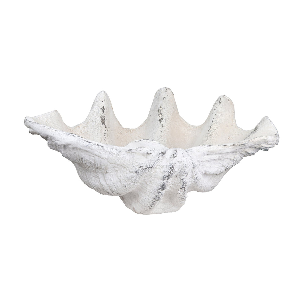 Crestview Collection Henley Shell Sculpture - Elegant Crestview Decorative Accent For Coastal-inspired Home Décor   Cvdzep049