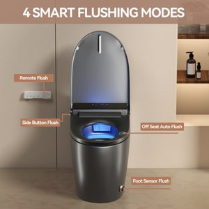 English Elm Unique Intelligent One Piece Toilet with Bidet Warm Air Dryer and Auto Sensor Seat Gray W3133P476382