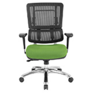 OSP Home Furnishings Vertical Mesh Back Ergonomic Manager Office Chair with Lumbar Support and Adjustable Arms Green 99662C-6