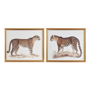 Martha Stewart The Duel Coastal Cheetah Framed Graphic Wall Decor 2 Piece set MT95G-0086 Multi