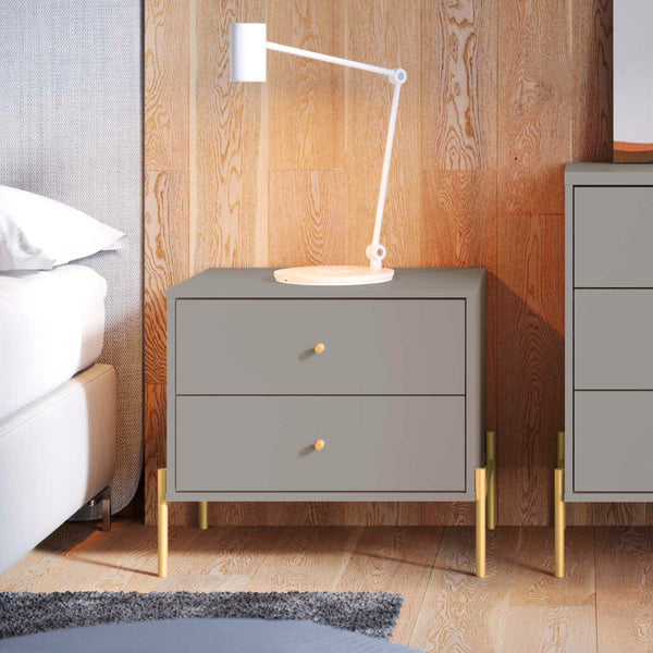 English Elm Jasper 25" Nightstand with Two Full-Extension Drawers, Gold Accents & Sleek Brushed Steel Legs Grey B365P398534