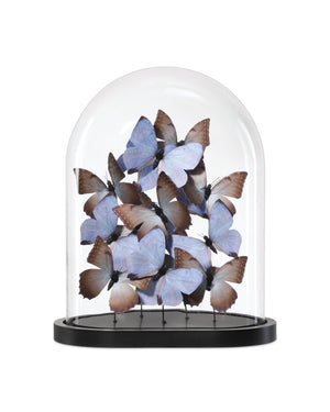 Currey & Company Rue De Bac Enchanting Medium Butterflies In Soft Blue & Pink - Elegantly Displayed Glass Dome Decor Blue Paper ,Engineered Wood ,Glass 1200-0977-currey-company