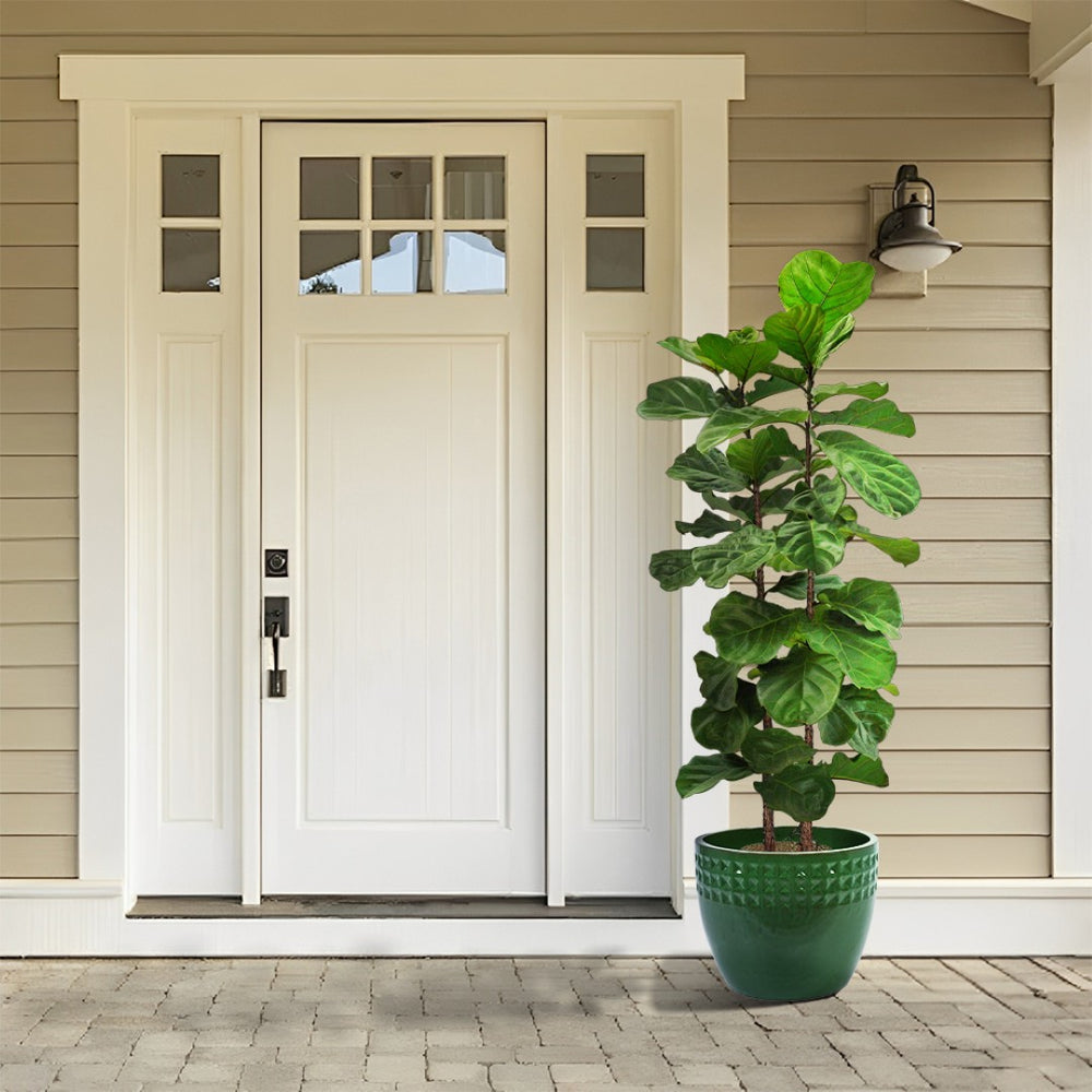 English Elm Set Of 3 Ceramic Flowerpots - Handcrafted Antique Green Planters For Modern Home & Garden Decor W3273P321483-GIGA