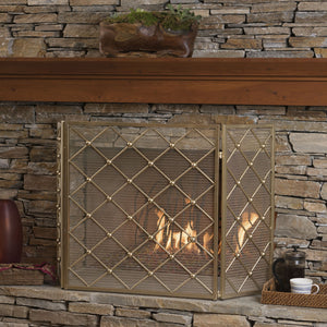 English Elm Christopher Knight Home® - FIRE Prater Iron Fireplace Screen - Black Finish Decorative Hearth Guard, Embers Protection, No Assembly Needed 61128.00GLD