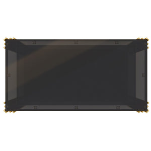 English Elm Modern Glam Rectangular Coffee Table with Mirrored Top Gold Sculptural Frame Open Shelf Black N735P380099B