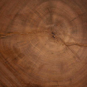 English Elm Hand-carved Suar Wood Sculptural Accent Table Artisan Openwork Design for Boho Interiors B2750P467854