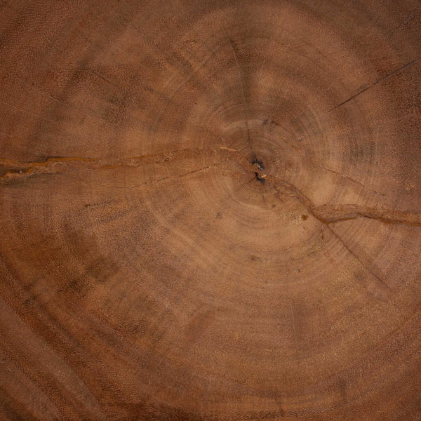 English Elm Hand-carved Suar Wood Sculptural Accent Table Artisan Openwork Design for Boho Interiors B2750P467854