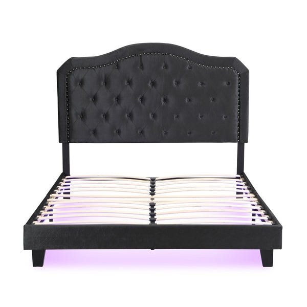 English Elm Upholstered Queen Bed Black Velvet Tufted Headboard with Led Ambient Lighting W311P237227