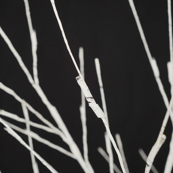 English Elm Set of Lighted Birch Tree with 216 Warm White LEDs, 3-Sizes 4/5/6FT, Indoor/Outdoor Romantic Decor N710P181843Y