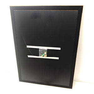 English Elm Set Of 2 Betta Fish Canvas Wall Art – Vibrant Modern Decor With Solid Wood Frames For Home Elegance T3976P383239-GIGA